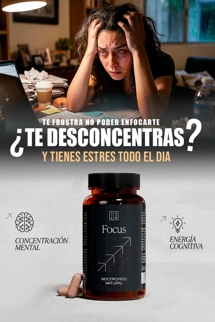 ZZEN - FOCUS Concentración y Energía