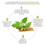 Ashwagandha KSM66